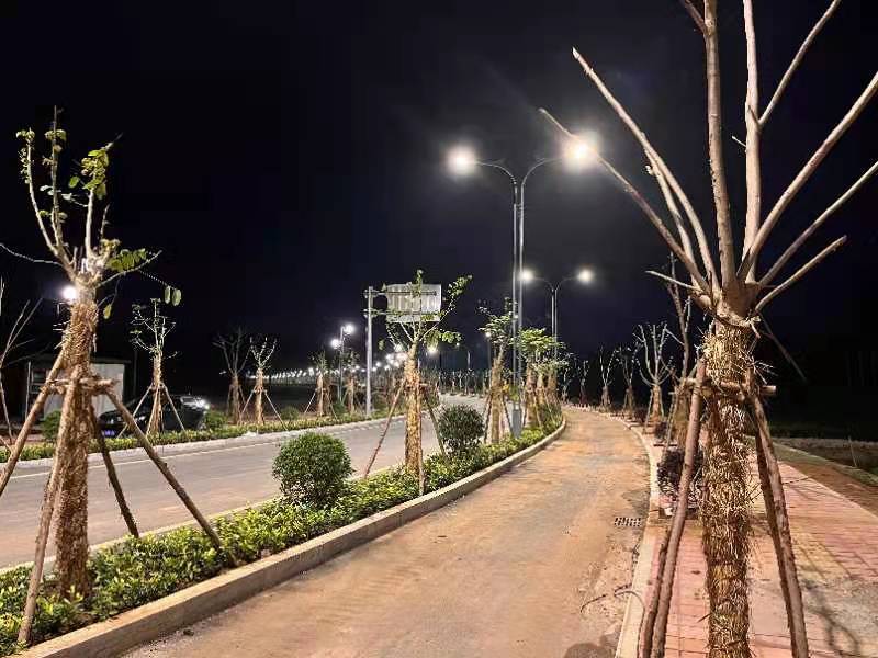 海南环岛旅游公路首段（博鳌主线） 路灯顺利点亮！
