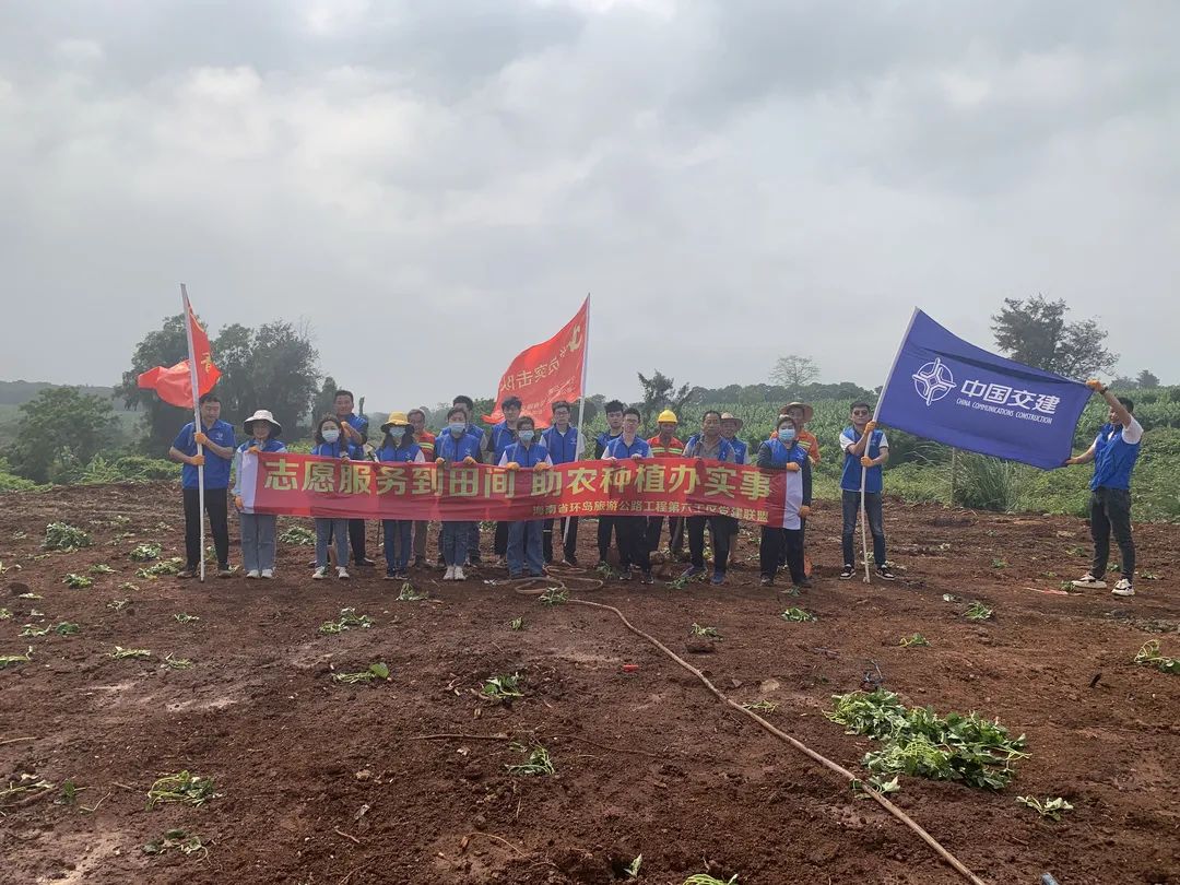 党建联盟丨志愿服务到田间，助农种植办实事